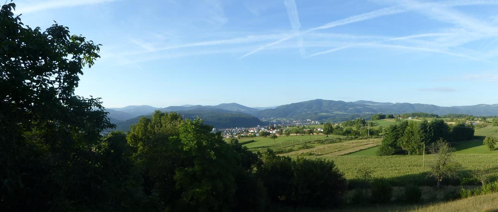 Hotel Hohe Flum Schopfheim Extérieur photo